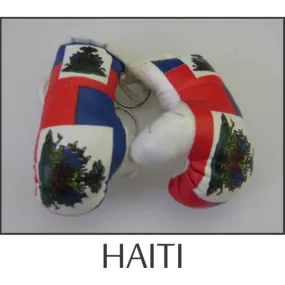 Haiti Mini Boxing Glove