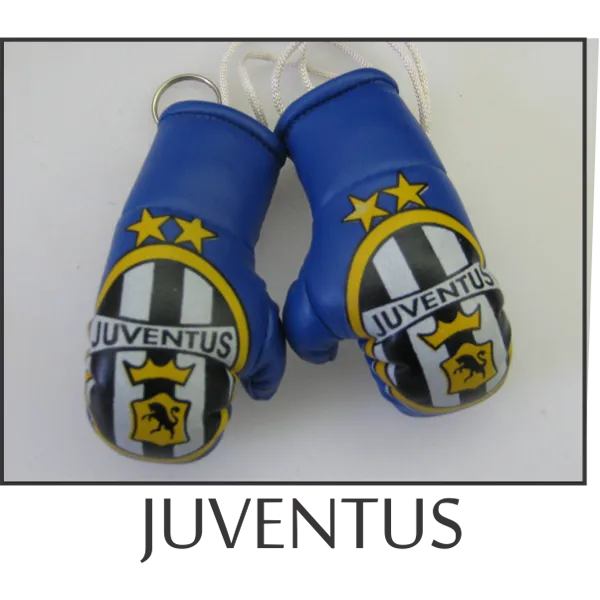 Juventus Mini Boxing Gloves