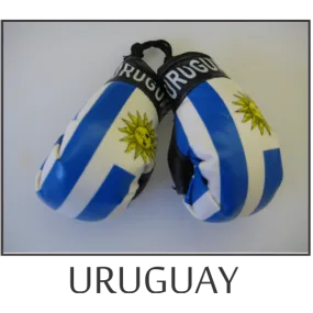 Uruguay Mini Boxing Glove